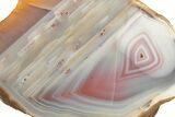 Polished Queensland Agate Nodule - Australia #323011-1